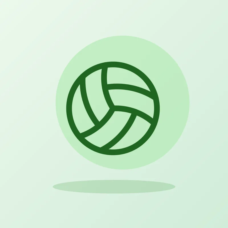 Pelota de fútbol profesional N.º 5
