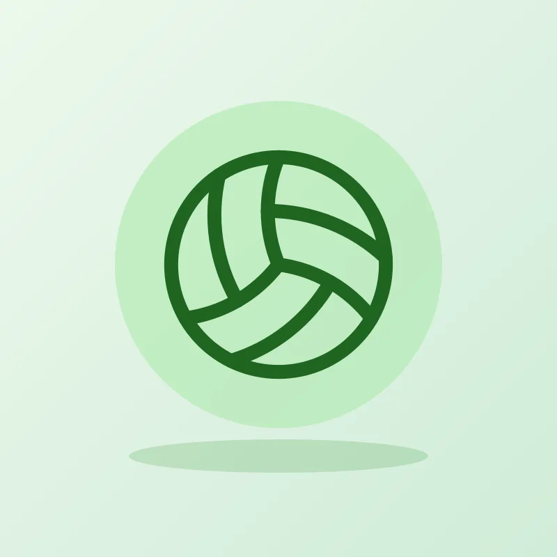 Pelota de fútbol profesional N.º 5